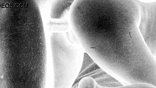 Vintage Hairy Beauties Pose in Retro Erotic Masterpieces