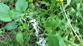 Milf Stands Behind Garages Pissing on Her Dirty Shaved Pussy in Public Fetish Video