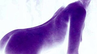 Vintage Erotic Drawings Showcase Retro Antique Passions Intensely