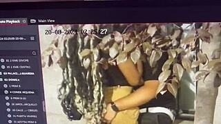 giving tender besitos kisses on throbbing penis in public outdoor street