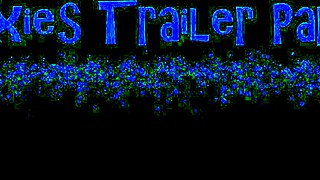 dixie's trailer park introduction to homemade swingers fun