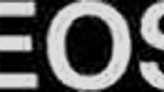 roblox goat unleashes bold fight animations in fishnets