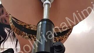 Latina's tight pussy machine fucked to squirting orgasms