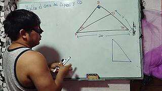 calculate my x in this nerdy bedroom triangle