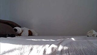 horny teen rides dildo fingers dripping pussy to orgasm