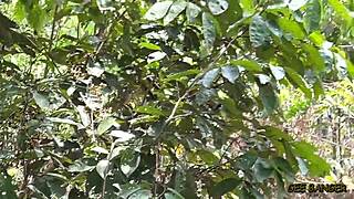 curvy ebony beauty rides huge cock in amateur holiday bush sex