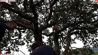 i slammed my cock into blonde and brunette atop public street tree hardcore orgy