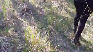 Woman struts high heels through enchanting forest paths