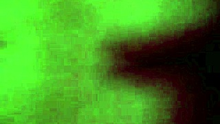 Lupe Shemale Amateur Fuck