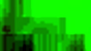 Lupe Shemale Amateur Fuck