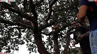 i slammed my cock into blonde and brunette atop public street tree hardcore orgy