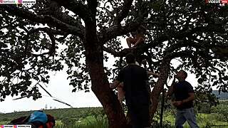 i slammed my cock into blonde and brunette atop public street tree hardcore orgy