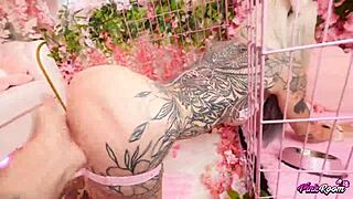 yo kasara, rim my balls then suck and fuck like a true sub slut?