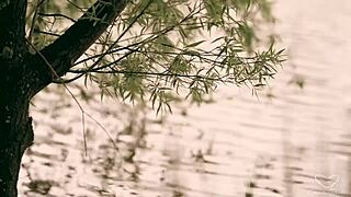 Mishel Karen Leo Embers moans squirting on huge cock during wet ride