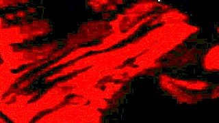 real amateur couple fucks homemade wedding style