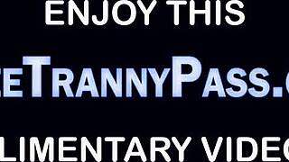 shemale trans boobies suck cock for intense tranny blowjob pleasure