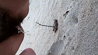 i spy helena price teasing cock nude on caribbean beach voyeur day two