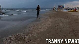 I've wondered about shemale intimate experiences forever