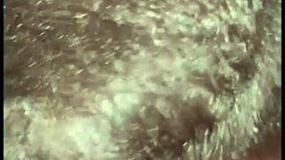 muscular brazilians deliver dirty talk anal domination casting