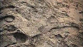 mexican beach stranger sucks huge cock in public outdoor blowjob