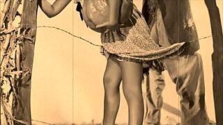 vintage halloween party with retro spooky vibes 🎃👻