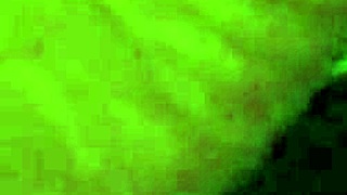 fucking from behind in doggystyle with hairy beaver