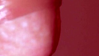 Beautiful babe delivers close-up blowjob and hot facial