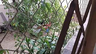 Neighbor's BBC shocks her into wild anal creampie loving