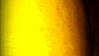 watching them pound my pussy and suck my ass has me dripping watch me get fucked hard