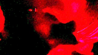 Renatinha Mello's Swinger Cabin Putaria with Stranger Unleashes Big Tits Ecstasy