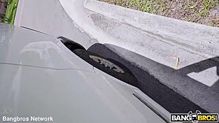 kelsey can't resist huge black cocks like her favorite roses