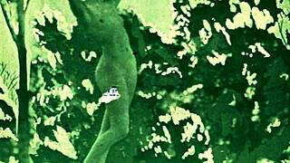 Vintage Christmas hides erotic secrets