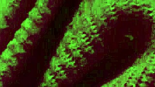 Italian Big Tits Milf Artemisia Love's Hot Solo Boobs Bounce