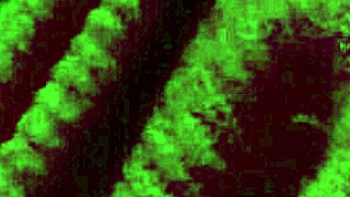 Italian Big Tits Milf Artemisia Love's Hot Solo Boobs Bounce