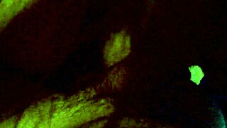 whore wife licks cum and swallows every drop