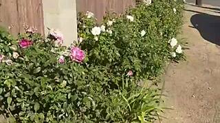 Free SFW Edition of My First Pornlog Debut