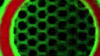 Krissy Lynn's Big Tits and Wet Pussy Lips Beg for Rough Doggy Pounding