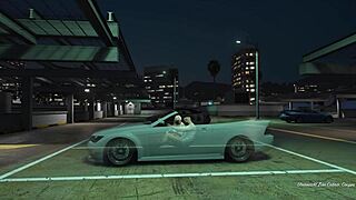 GTA 5 Prostitute Delivers Hooker Car Sex Service Ride