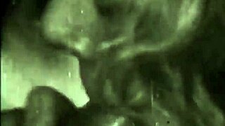 vintage foursome dives into hairy beaver orgy frenzy