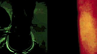 vintage foursome dives into hairy beaver orgy frenzy