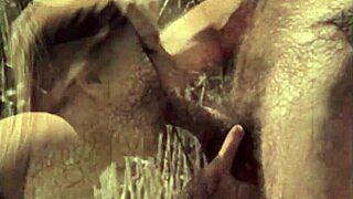 Discover victorian gentleman's erotic hairy beaver confessions!