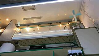 Boss fingers sexy assistant's wet pussy mid customer chat