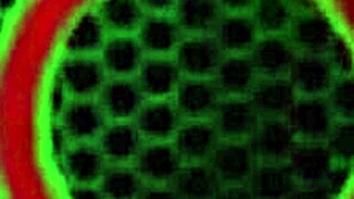 Sara jay fingers her soaked mature pussy hole while teasing in sheer leather lingerie