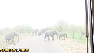 big tits ebony babe fingers big clit tight pussy pov closeup to hardcore cum