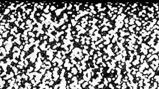 doctor tampa, force kristen martinez to orgasm with hitachi wand?