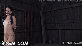 Clamped Girl's Tight Fuck Holes Ravaged Hardcore