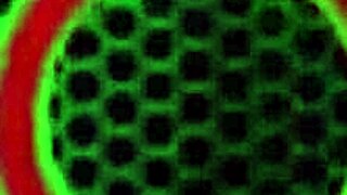 hey sara jay milf takes on shaundam's sexy date laura hard 🔥💦