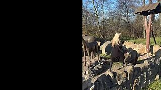 Quiet Office Girl Turns Wild Party Slut