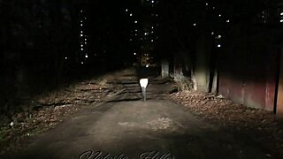 pretty young autumn flashes big tits pussy on risky public naked walk