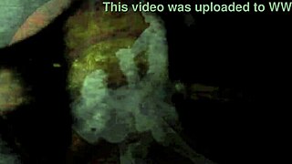 Vintage Hairy Erotic Bush Exposed